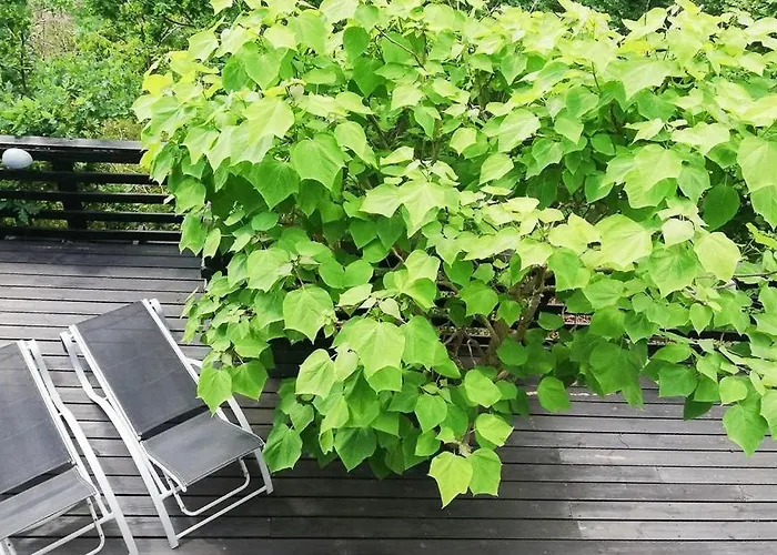 Summer House With A View Of Mols Bjerge Ebeltoft